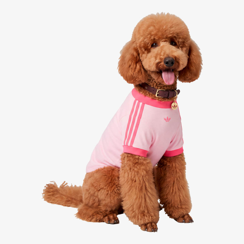 adidas NECKLACE PET PET COLLAR 