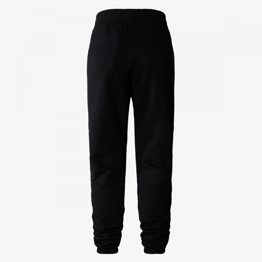 THE NORTH FACE Donji dio trenirke W ZUMU JOGGER 