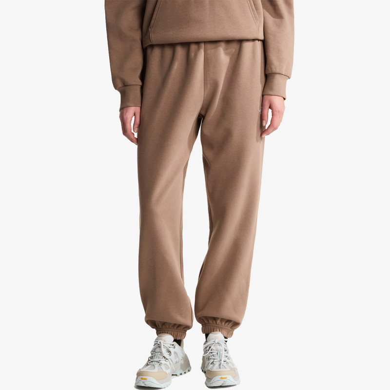 THE NORTH FACE Donji dio trenirke W EVOLUTION SIMPLE DOME REGULAR PANT 