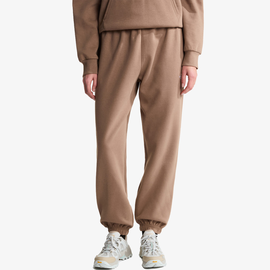 THE NORTH FACE Donji dio trenirke W EVOLUTION SIMPLE DOME REGULAR PANT 