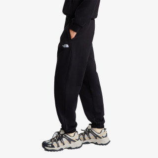THE NORTH FACE Donji dio trenirke W EVOLUTION SIMPLE DOME REGULAR PANT 