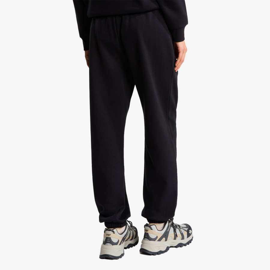 THE NORTH FACE Donji dio trenirke W EVOLUTION SIMPLE DOME REGULAR PANT 